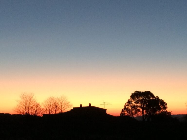 Amistad En Las Buenas Y En Las Malas