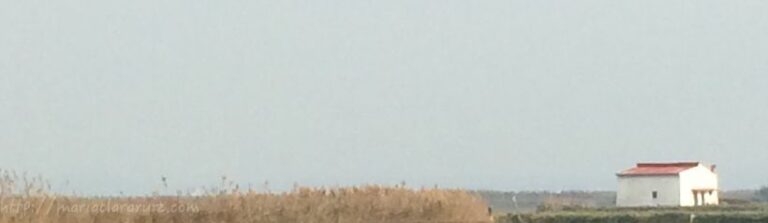 estar-presente-pero-ausente