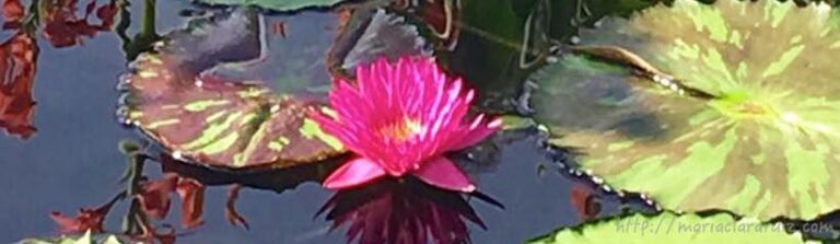 estrés-y-bloqueo-emocional