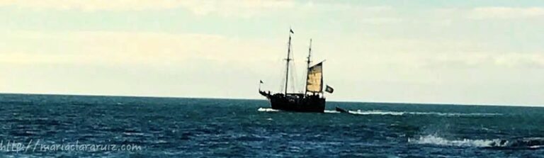 cambios-con-psicoterapia-caracteroanalitica