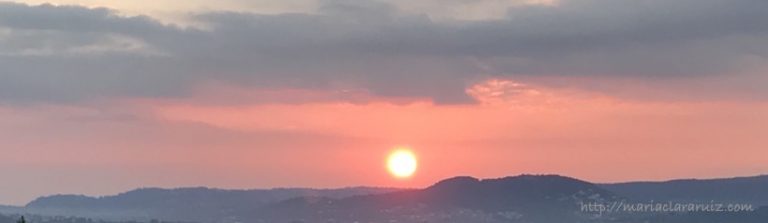 como elegir a mi psicoterapeuta