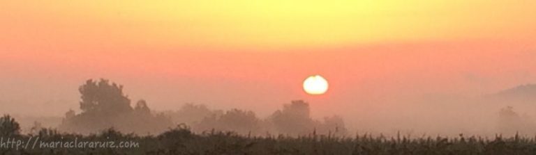 terapia-reichiana-falta-de-contacto