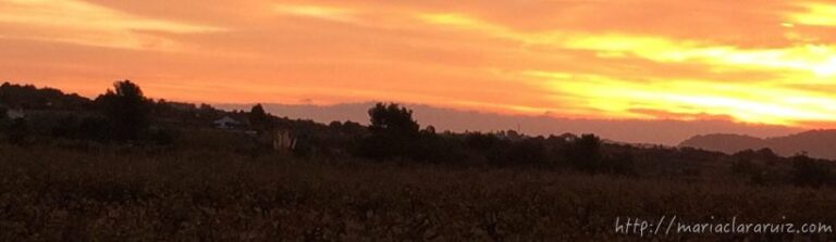 sexualidad-terapia-denia