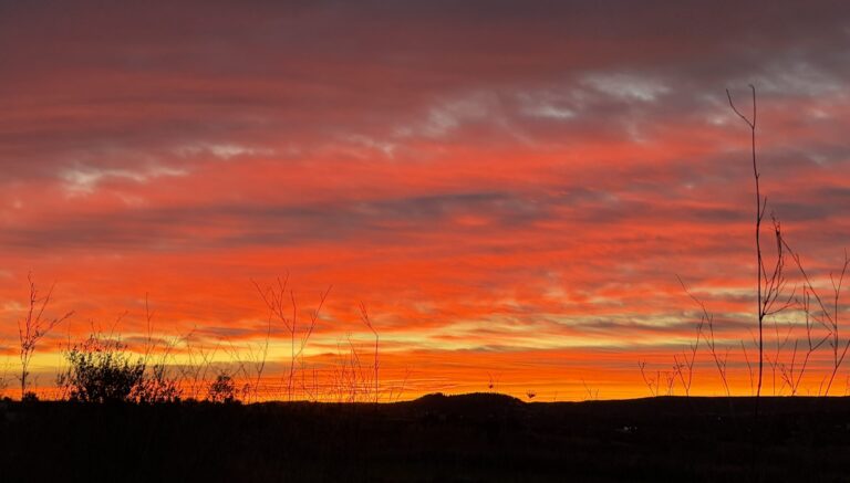 Dejar las Redes Sociales - Un Año Después