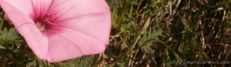 depresion-y-reconocimiento