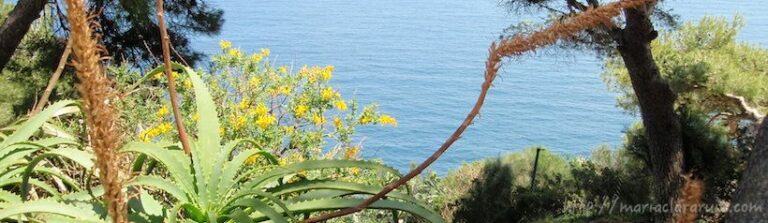 la-relacion-con-lo-lento