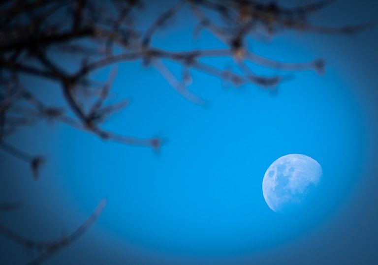 full moon over bare tree