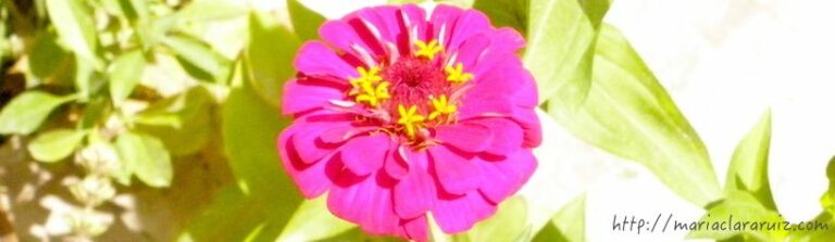 Duelo-aborto-provocado-espontaneo