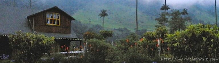 miedo-a-soledad-maria clara ruiz