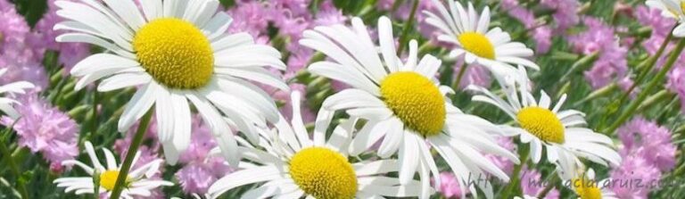 creación-bloqueo-fluidez