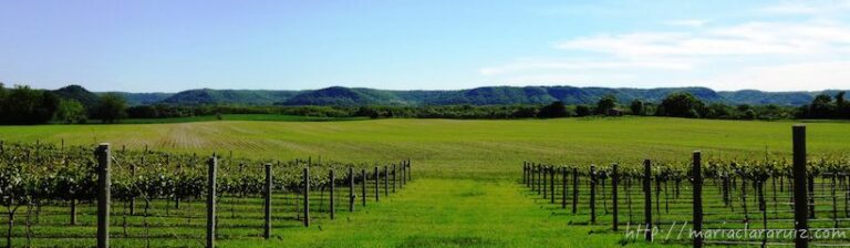 maria-clara-ruiz-psicologa-valencia-denia