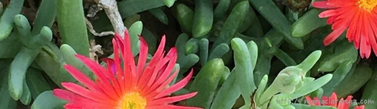 terapia-para-el-cambio