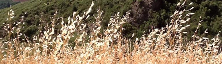 terapia-psicologica-para-estres