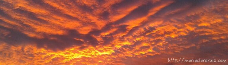 Psicoterapia, ideas obsesivas