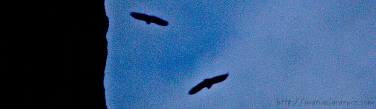 depresión-mujeres-hombres