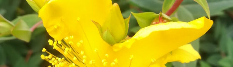 psicologo-me-puede-ayudar