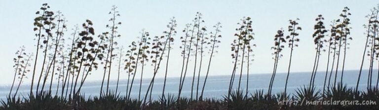 como-gestionar-estados-de-animo