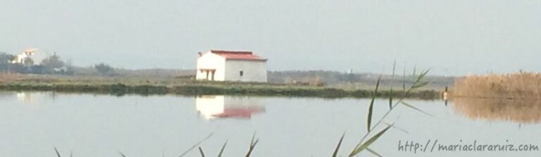 pérdida-ambigua-lo-que-no-fue