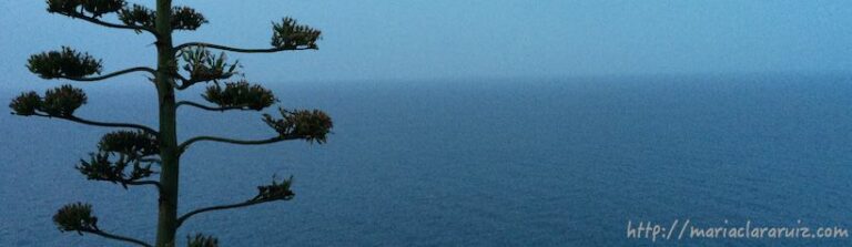 duelo-en-la-distancia