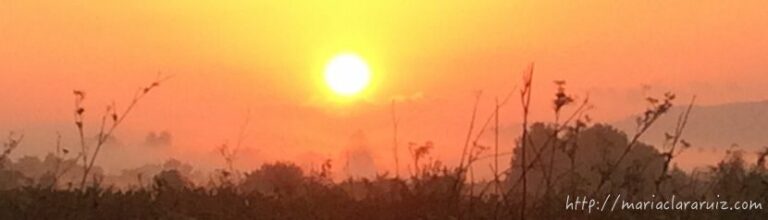 adios-a-manuel-redon-blanch