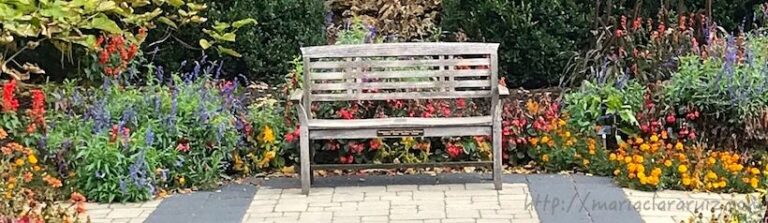 soledad-enfermedad-e-nuestro-tiempo