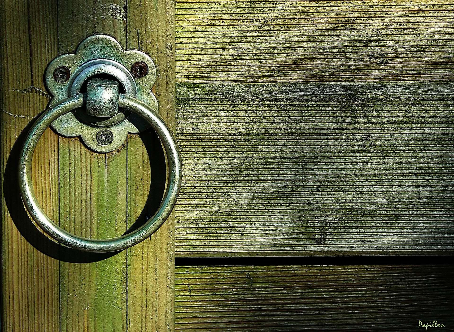 Mi pareja no quiere ir a terapia