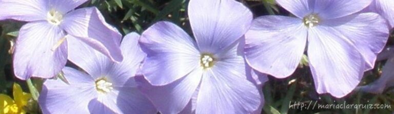 acoso-sexual-violencia-de-genero