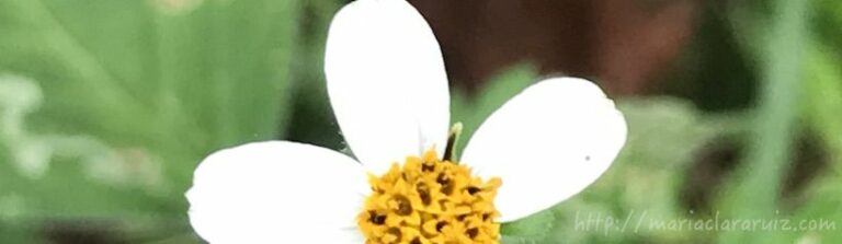 elegir-carrera-apoyo-psicologico