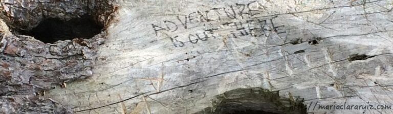 acuerdos-inconscientes-familias