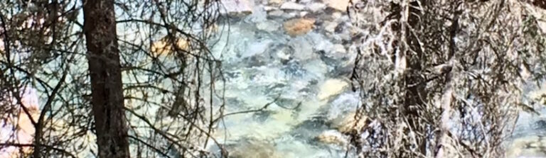 psicoterapia-reichiana-breve-profunda