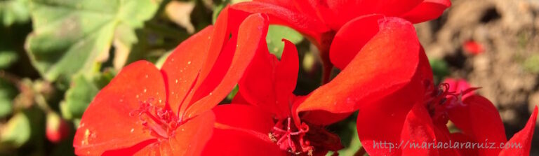 resolver-traumas-valencia-denia