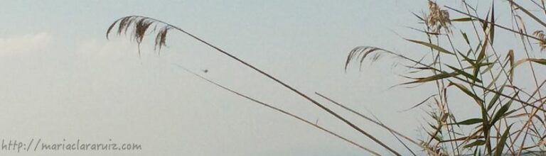 hiperresponsabilidad