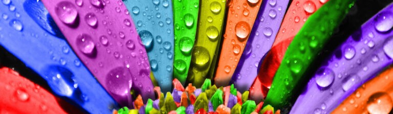 sexualidad-inmigrantes