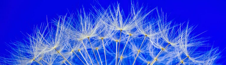 caracteroanalitica-valencia-marina-alta