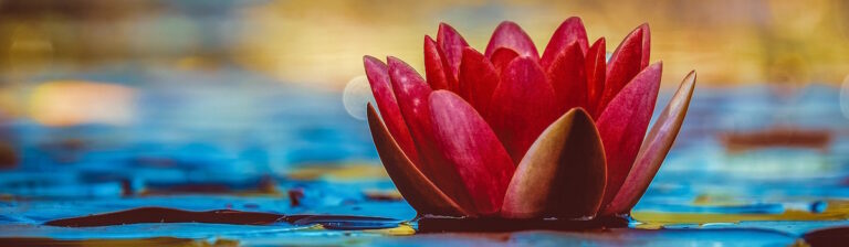 acoso-sexual-psicoterapia-sintomas