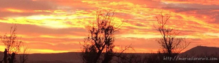 duelo-navidad-como-afrontarla