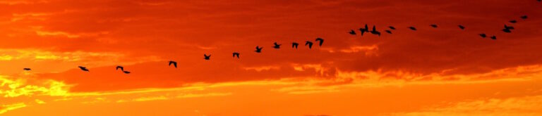 inmigrante-18-diciembre-maria-clara