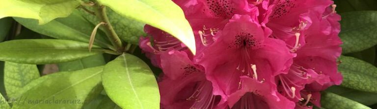 vivir-con-enfermedad-cronica